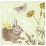 Mank Ostern Serviette aus Tissue - Peter , 40 x 40 cm, 100 Stück